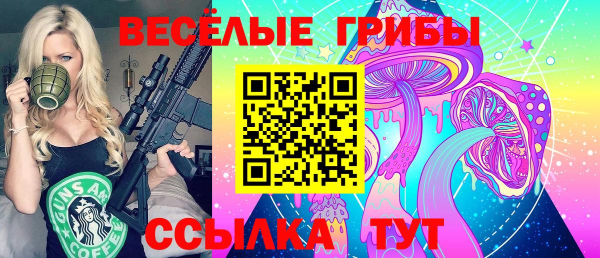 Чехов  Галлюциногенные грибы Magic Shrooms  Галлюциногенные грибы Psilocybine cubensis  Вход с VPN 
